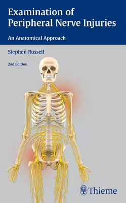 Untersuchung von Verletzungen der peripheren Nerven: Eine anatomische Betrachtungsweise - Examination of Peripheral Nerve Injuries: An Anatomical Approach