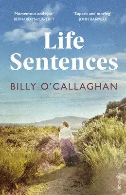 Life Sentences - der unvergessliche irische Bestseller - Life Sentences - the unforgettable Irish bestseller
