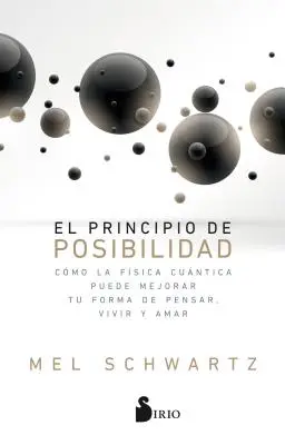 Das Prinzip der Positivität (Principio de la Posibilidad) - El Principio de la Posibilidad