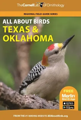 Alles über Vögel Texas und Oklahoma - All about Birds Texas and Oklahoma