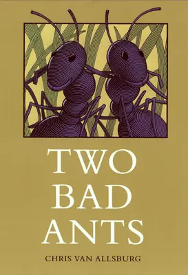 Zwei böse Ameisen - Two Bad Ants