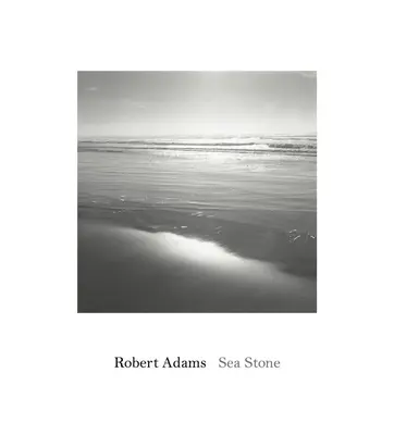 Robert Adams: Stein des Meeres - Robert Adams: Sea Stone