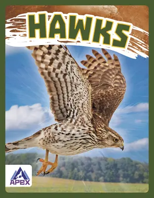 Falken - Hawks