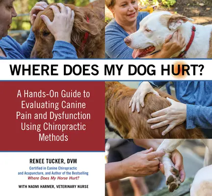 Wo tut es meinem Hund weh: Finden Sie die Ursache von Verhaltensproblemen oder Schmerzen: Ein praktischer Leitfaden - Where Does My Dog Hurt: Find the Source of Behavioral Issues or Pain: A Hands-On Guide