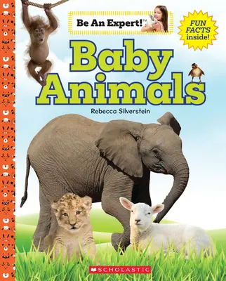 Baby-Tiere (Sei ein Experte!) - Baby Animals (Be an Expert!)