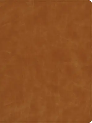 CSB Lifeway Frauenbibel, Butterscotch Echtes Leder, Indexiert - CSB Lifeway Women's Bible, Butterscotch Genuine Leather, Indexed