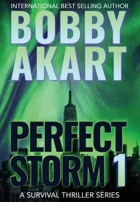 Perfect Storm 1: Postapokalyptischer Überlebensthriller - Perfect Storm 1: Post Apocalyptic Survival Thriller