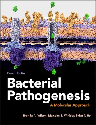 Bakterielle Pathogenese: Eine molekulare Annäherung - Bacterial Pathogenesis: A Molecular Approach