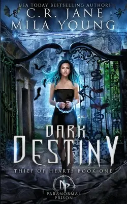 Dunkle Bestimmung: Paranormaler Liebesroman - Dark Destiny: Paranormal Romance