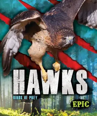 Falken: Raubvögel - Hawks: Birds of Prey