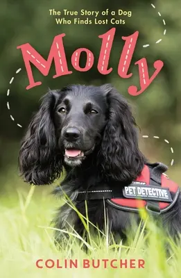 Molly: Die wahre Geschichte des Hundes, der verlorene Katzen rettet - Molly: The True Story of the Dog Who Rescues Lost Cats