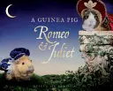 Meerschweinchen Romeo und Julia - Guinea Pig Romeo & Juliet