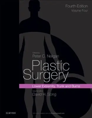 Plastische Chirurgie: Band 4: Rumpf und untere Extremitäten - Plastic Surgery: Volume 4: Trunk and Lower Extremity