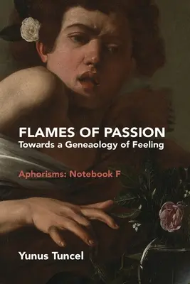 Flammen der Leidenschaft: Auf dem Weg zu einer Genealogie des Gefühls Aphorismen: Notizbuch F - Flames of Passion: Towards of a Genealogy of Feeling Aphorisms: Notebook F