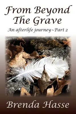 Von jenseits des Grabes: Eine Reise ins Jenseits Teil 2 - From Beyond The Grave: An afterlife journey Part 2