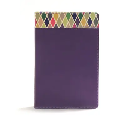 CSB Regenbogen-Studienbibel, lila Ledereinband - CSB Rainbow Study Bible, Purple Leathertouch