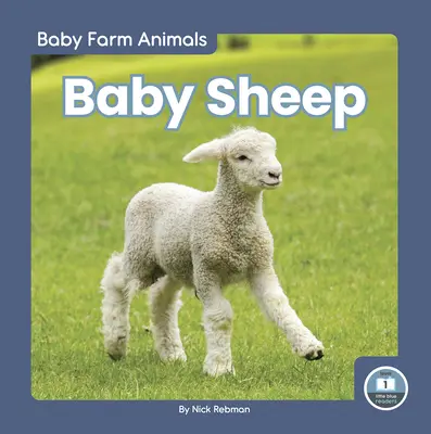 Baby Schafe - Baby Sheep