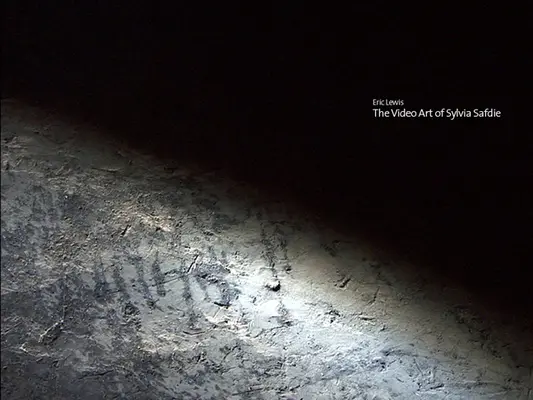 Die Videokunst von Sylvia Safdie - The Video Art of Sylvia Safdie