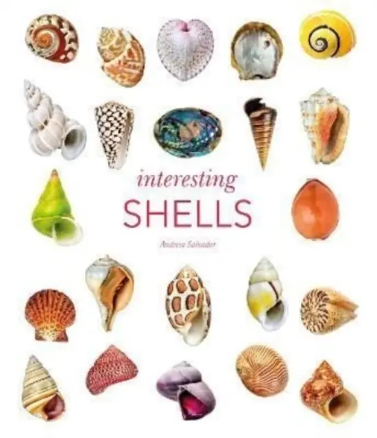 Interessante Muscheln - Interesting Shells