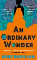 Ordinary Wonder - Herzzerreißende und charmante Coming-of-Age-Literatur über Liebe, Verlust und das Eingehen von Chancen - Ordinary Wonder - Heartbreaking and charming coming-of-age fiction about love, loss and taking chances