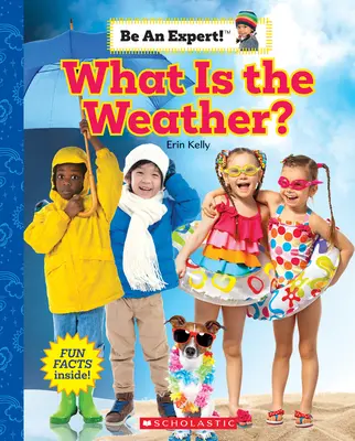 Was ist das Wetter? (Sei ein Experte!) - What Is the Weather? (Be an Expert!)