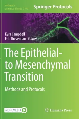 Der Übergang von Epithelien zu Mesenchymen: Methoden und Protokolle - The Epithelial-To Mesenchymal Transition: Methods and Protocols