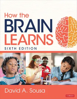 Wie das Gehirn lernt - How the Brain Learns