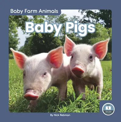 Baby-Schweine - Baby Pigs