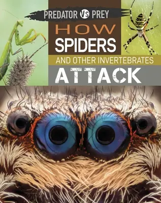 Raubtier gegen Beute: Wie Spinnen und andere wirbellose Tiere angreifen! - Predator Vs Prey: How Spiders and Other Invertebrates Attack!