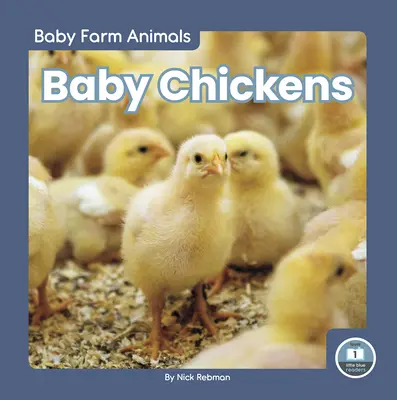 Baby Hühner - Baby Chickens