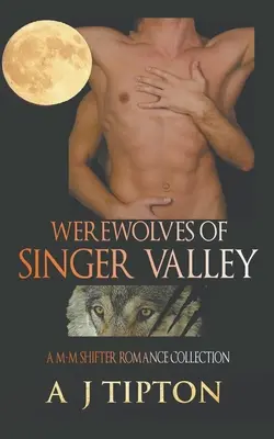 Die Werwölfe von Singer Valley: Eine M-M Shifter Romance Sammlung - Werewolves of Singer Valley: A M-M Shifter Romance Collection