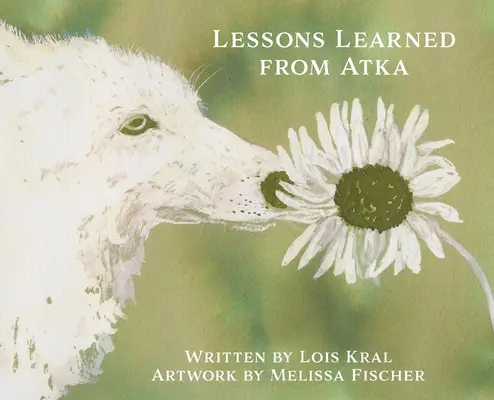 Lehren aus Atka - Lessons Learned from Atka