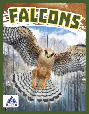 Falken - Falcons