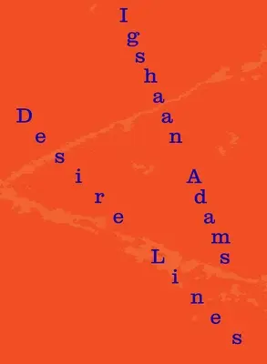 Igshaan Adams: Begierde-Linien - Igshaan Adams: Desire Lines