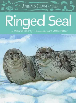 Tiere illustriert: Ringelrobbe - Animals Illustrated: Ringed Seal