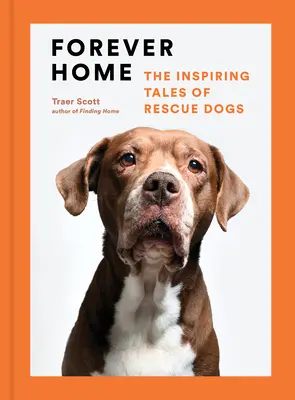 Für immer zu Hause: Die inspirierenden Geschichten von Rettungshunden - Forever Home: The Inspiring Tales of Rescue Dogs