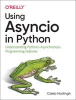 Asyncio in Python verwenden: Die asynchrone Programmierung von Python verstehen - Using Asyncio in Python: Understanding Python's Asynchronous Programming Features