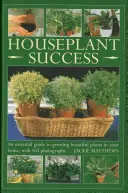 Erfolgreiche Zimmerpflanzen: Ein unverzichtbarer Leitfaden für schöne Pflanzen in Ihrem Zuhause, mit 165 Fotos - Houseplant Success: An Essential Guide to Growing Beautiful Plants in Your Home, with 165 Photographs