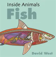 Innere Tiere: Fische - Inside Animals: Fish