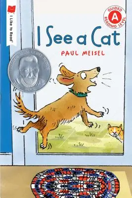 Ich sehe eine Katze - I See a Cat