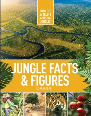 Zahlen und Fakten zum Dschungel - Jungle Facts & Figures