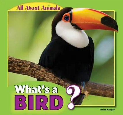 Was ist ein Vogel? - What's a Bird?