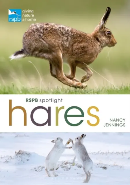 RSPB Spotlight Hasen - RSPB Spotlight Hares