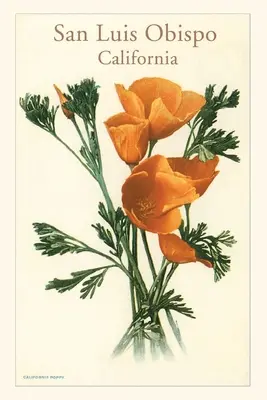 Das Vintage Journal San Luis Obispo, Kalifornien Mohnblumen - The Vintage Journal San Luis Obispo, California Poppies