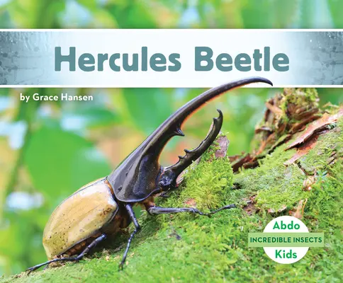 Herkuleskäfer - Hercules Beetle