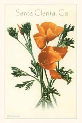 Das Jahrgangsjournal Kalifornischer Mohn, Santa Clarita - The Vintage Journal California Poppy, Santa Clarita