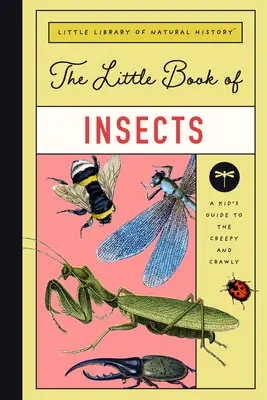 Das kleine Buch der Insekten: Ein Leitfaden für Käfer, Fliegen, Ameisen, Bienen und mehr - The Little Book of Insects: A Guide to Beetles, Flies, Ants, Bees, and More