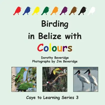 Vogelbeobachtung in Belize mit Farben - Birding in Belize with Colours