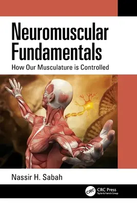 Neuromuskuläre Grundlagen: Wie unsere Muskulatur gesteuert wird - Neuromuscular Fundamentals: How Our Musculature is Controlled