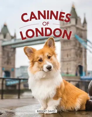 Hunde in London (Hundefotografie, Geschenk für Hundeliebhaber) - Canines of London (Dog Photography, Dog Lovers Gift)